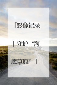 影像记录｜守护“海底草原”