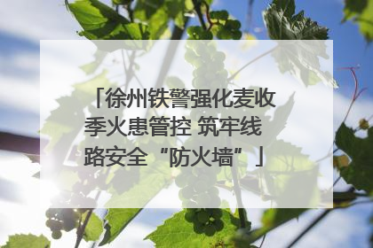 徐州铁警强化麦收季火患管控 筑牢线路安全“防火墙”