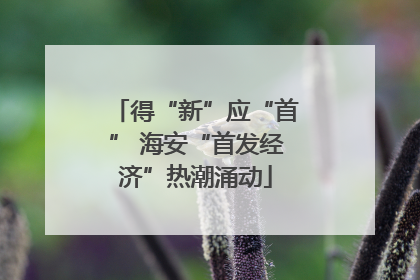 得“新”应“首” 海安“首发经济”热潮涌动