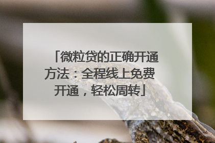 微粒贷的正确开通方法：全程线上免费开通，轻松周转