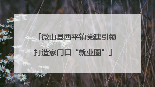 微山县西平镇党建引领打造家门口“就业圈”