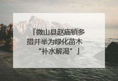 微山县赵庙镇多措并举为绿化苗木“补水解渴”