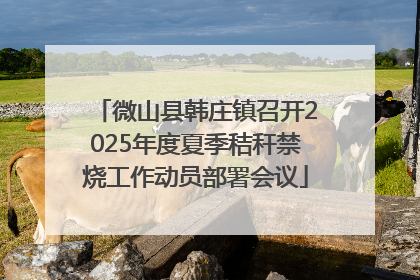 微山县韩庄镇召开2025年度夏季秸秆禁烧工作动员部署会议