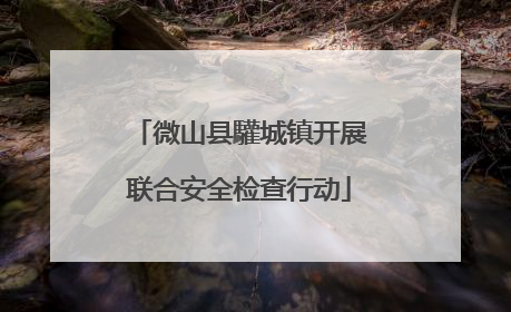 微山县驩城镇开展联合安全检查行动
