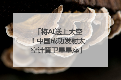 将AI送上太空！中国成功发射太空计算卫星星座