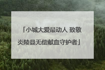 小城大爱最动人 致敬炎陵县无偿献血守护者