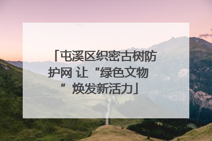 屯溪区织密古树防护网 让“绿色文物”焕发新活力