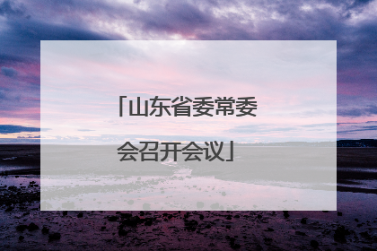 山东省委常委会召开会议