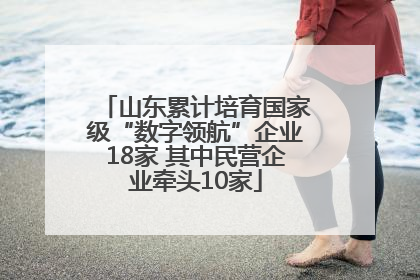山东累计培育国家级“数字领航”企业18家 其中民营企业牵头10家