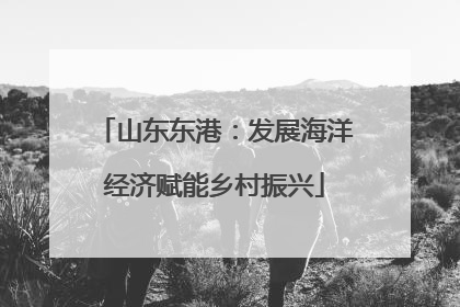 山东东港：发展海洋经济赋能乡村振兴