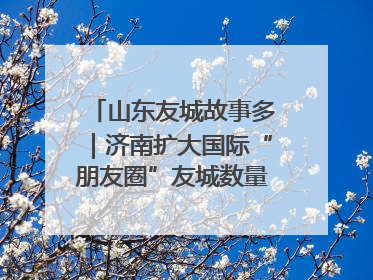 山东友城故事多｜济南扩大国际“朋友圈”友城数量达92对