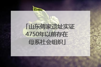 山东傅家遗址实证4750年以前存在母系社会组织
