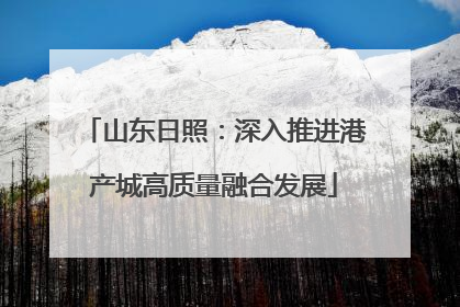 山东日照：深入推进港产城高质量融合发展