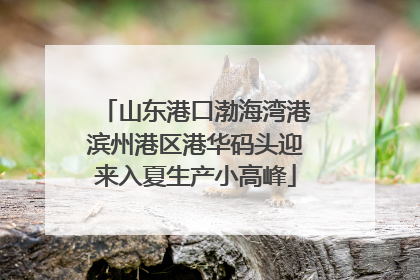 山东港口渤海湾港滨州港区港华码头迎来入夏生产小高峰