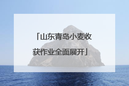 山东青岛小麦收获作业全面展开