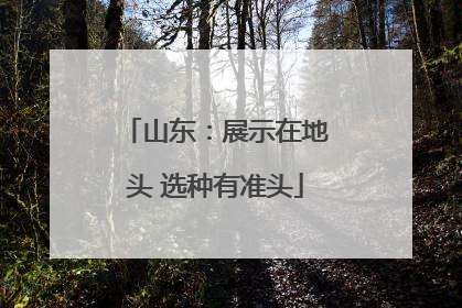 山东：展示在地头 选种有准头