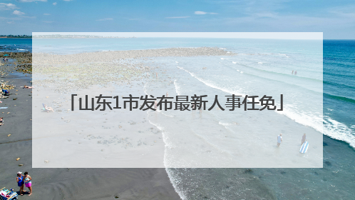 山东1市发布最新人事任免