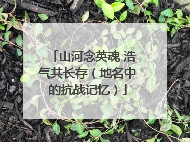 山河念英魂 浩气共长存（地名中的抗战记忆）
