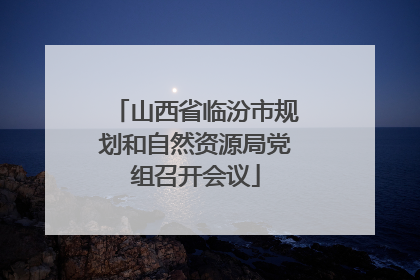 山西省临汾市规划和自然资源局党组召开会议