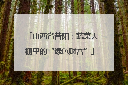 山西省昔阳：蔬菜大棚里的“绿色财富”