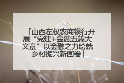 山西左权农商银行开展“党建+金融五篇大文章”以金融之力绘就乡村振兴新画卷