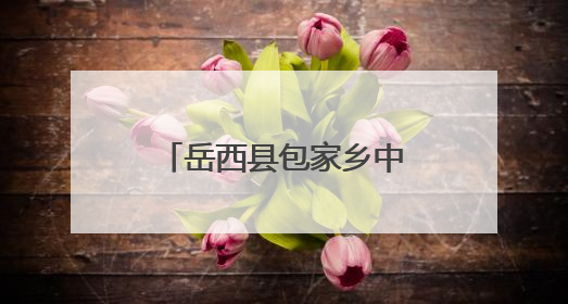 岳西县包家乡中心幼儿园成功举办县学前教育教研联系片第一片区第十三次专题研讨会