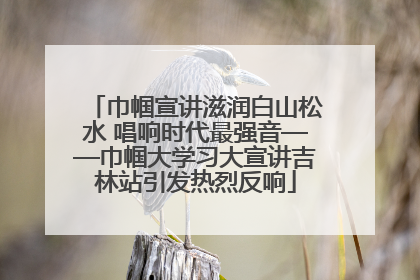 巾帼宣讲滋润白山松水 唱响时代最强音——巾帼大学习大宣讲吉林站引发热烈反响