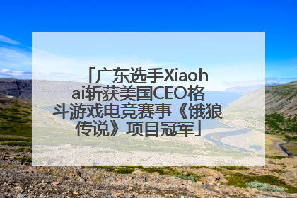 广东选手Xiaohai斩获美国CEO格斗游戏电竞赛事《饿狼传说》项目冠军