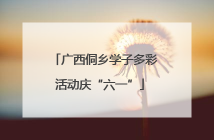 广西侗乡学子多彩活动庆“六一”