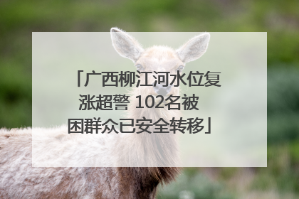 广西柳江河水位复涨超警 102名被困群众已安全转移