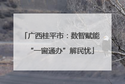 广西桂平市：数智赋能“一窗通办”解民忧