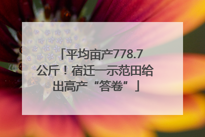 平均亩产778.7公斤！宿迁一示范田给出高产“答卷”