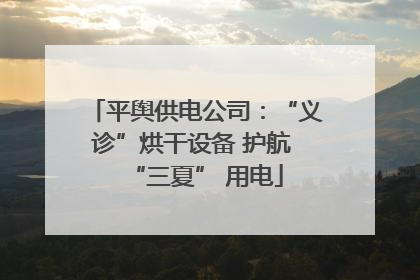 平舆供电公司：“义诊”烘干设备 护航 “三夏” 用电