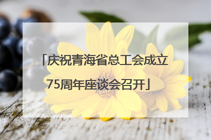 庆祝青海省总工会成立75周年座谈会召开