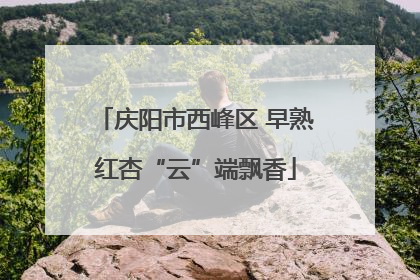 庆阳市西峰区 早熟红杏“云”端飘香