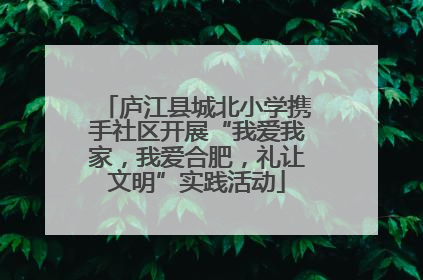 庐江县城北小学携手社区开展“我爱我家，我爱合肥，礼让文明”实践活动