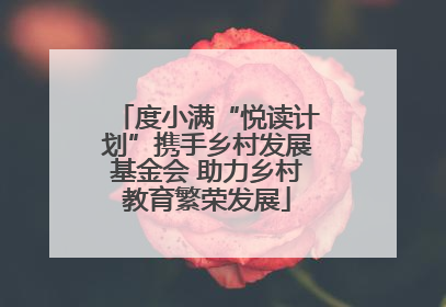 度小满“悦读计划”携手乡村发展基金会 助力乡村教育繁荣发展