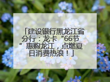 建设银行黑龙江省分行：龙卡“66节”惠购龙江，点燃夏日消费热浪！