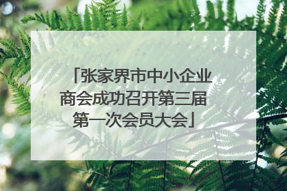 张家界市中小企业商会成功召开第三届第一次会员大会