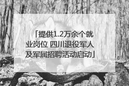 提供1.2万余个就业岗位 四川退役军人及军属招聘活动启动
