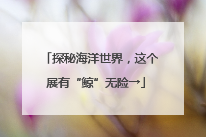 探秘海洋世界，这个展有“鲸”无险→