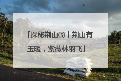 探秘荆山⑤丨荆山有玉暖，紫薇林羽飞