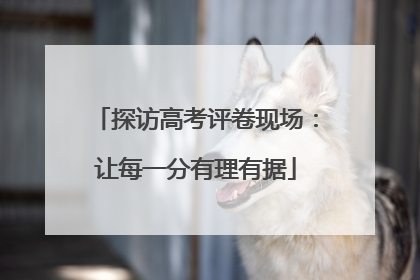 探访高考评卷现场：让每一分有理有据