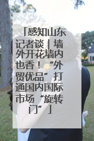 感知山东记者谈｜墙外开花墙内也香！“外贸优品”打通国内国际市场“旋转门”