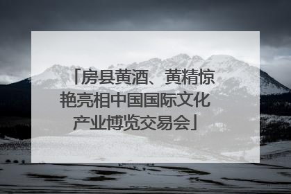 房县黄酒、黄精惊艳亮相中国国际文化产业博览交易会