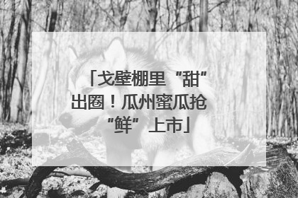 戈壁棚里“甜”出圈！瓜州蜜瓜抢“鲜”上市
