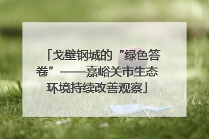 戈壁钢城的“绿色答卷”——嘉峪关市生态环境持续改善观察