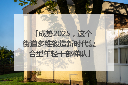 成势2025，这个街道多维锻造新时代复合型年轻干部梯队
