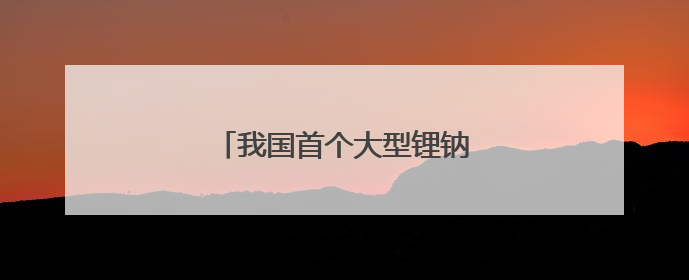 我国首个大型锂钠混合储能站投产
