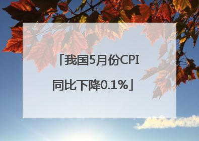 我国5月份CPI同比下降0.1%